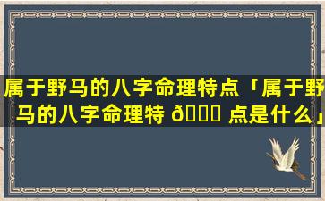 属于野马的八字命理特点「属于野马的八字命理特 🐘 点是什么」